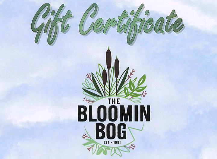Gift Certificate
