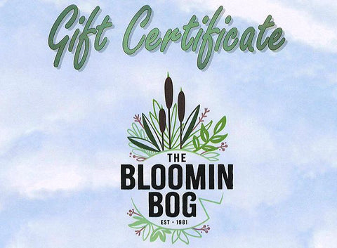 Gift Certificate