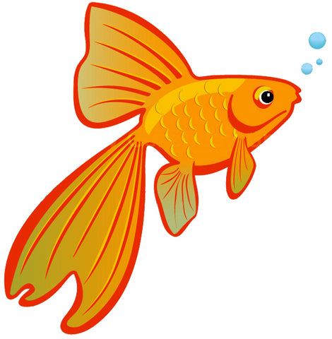 Goldfish