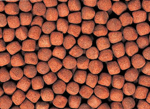 Fish Food
