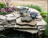 Blagdon Pond Balance