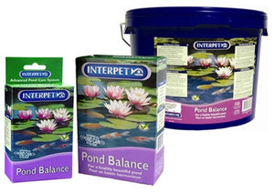 Blagdon Pond Balance